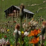 Apartman Haus Joerg Serfaus
