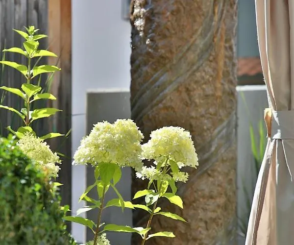 Haus Joerg * سيرفاوس