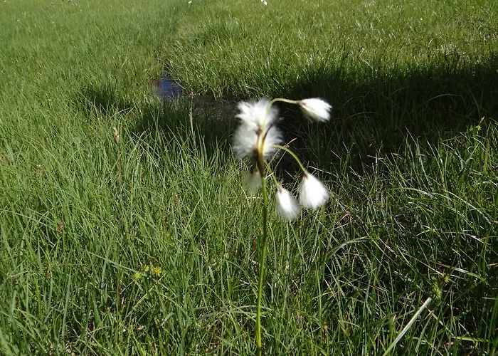 Haus Joerg سيرفاوس